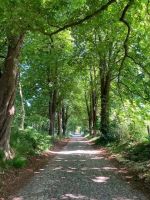 pittoreske Ahornallee &ndash; &copy; Thomas Hahn (Eberhardt TRAVEL)