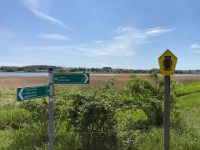 Naturschutzgebiet Bodden &ndash; &copy; Thomas Hahn (Eberhardt TRAVEL)