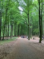 Dokuzentrum Königsstuhl - Film von Dirk Steffens zum Wachsen der Buchen &ndash; &copy; Thomas Hahn (Eberhardt TRAVEL)