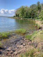 gebundene Öle im Wasser aus Militärzeiten  &ndash; &copy; Thomas Hahn (Eberhardt TRAVEL)