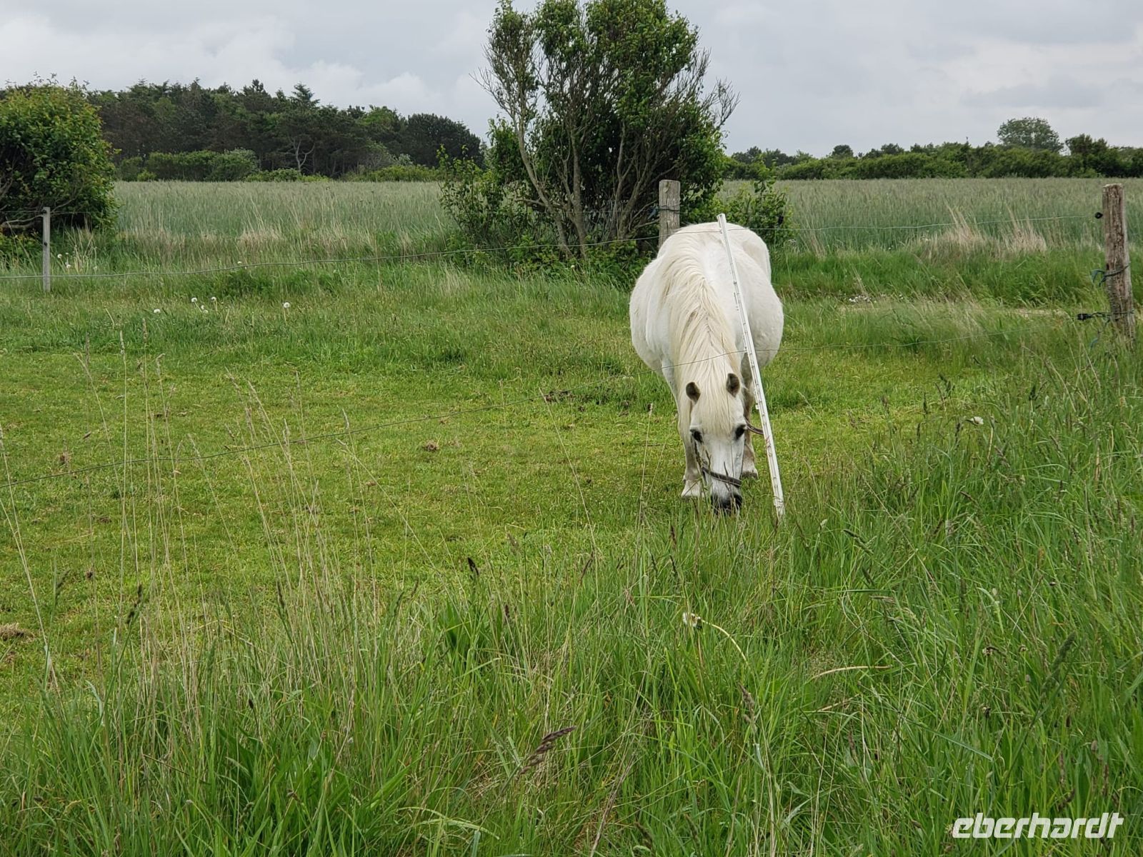 3.10 &ndash; &copy; Petra Hady (Eberhardt TRAVEL)