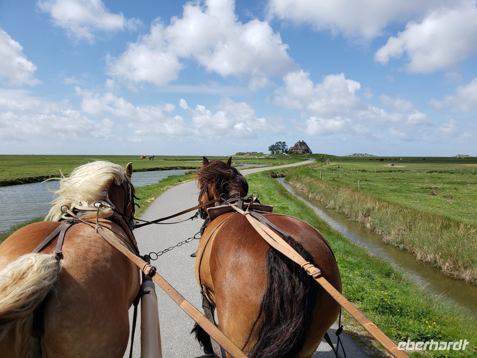 5.0 &ndash; &copy; Petra Hady (Eberhardt TRAVEL)