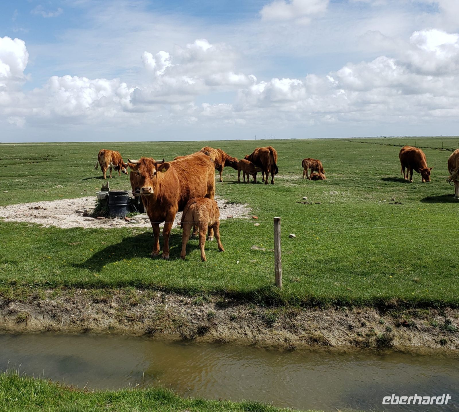 5.11 &ndash; &copy; Petra Hady (Eberhardt TRAVEL)