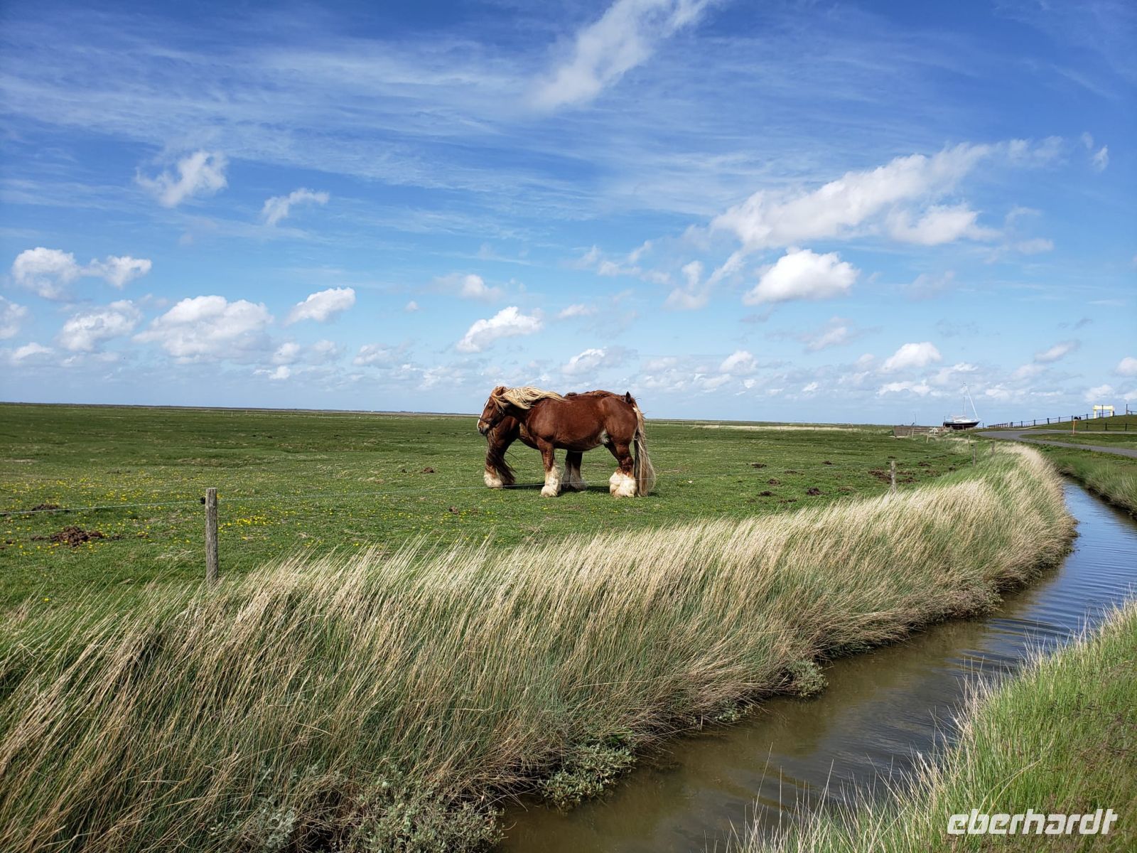 5.13 &ndash; &copy; Petra Hady (Eberhardt TRAVEL)