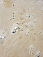 2.6 &ndash; &copy; Petra Hady (Eberhardt TRAVEL)