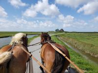 5.0 &ndash; &copy; Petra Hady (Eberhardt TRAVEL)