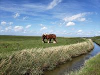 5.13 &ndash; &copy; Petra Hady (Eberhardt TRAVEL)