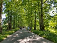 Insel Mainau (3) &ndash; &copy; Steffi Lambrecht (Eberhardt TRAVEL)