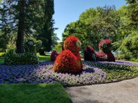 Insel Mainau (5) &ndash; &copy; Steffi Lambrecht (Eberhardt TRAVEL)