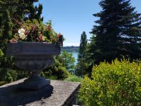 Insel Mainau (11) &ndash; &copy; Steffi Lambrecht (Eberhardt TRAVEL)