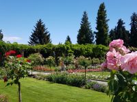 Insel Mainau (16) &ndash; &copy; Steffi Lambrecht (Eberhardt TRAVEL)