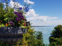 Insel Mainau (18) &ndash; &copy; Steffi Lambrecht (Eberhardt TRAVEL)