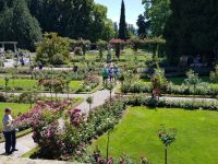 Insel Mainau (19) &ndash; &copy; Steffi Lambrecht (Eberhardt TRAVEL)