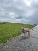 Moin &ndash; &copy; Isabel Zwanzig (Eberhardt TRAVEL)