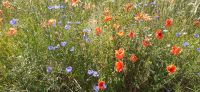 Wanderung nach Wustow &ndash; &copy; Kerstin Hugel (Eberhardt TRAVEL)