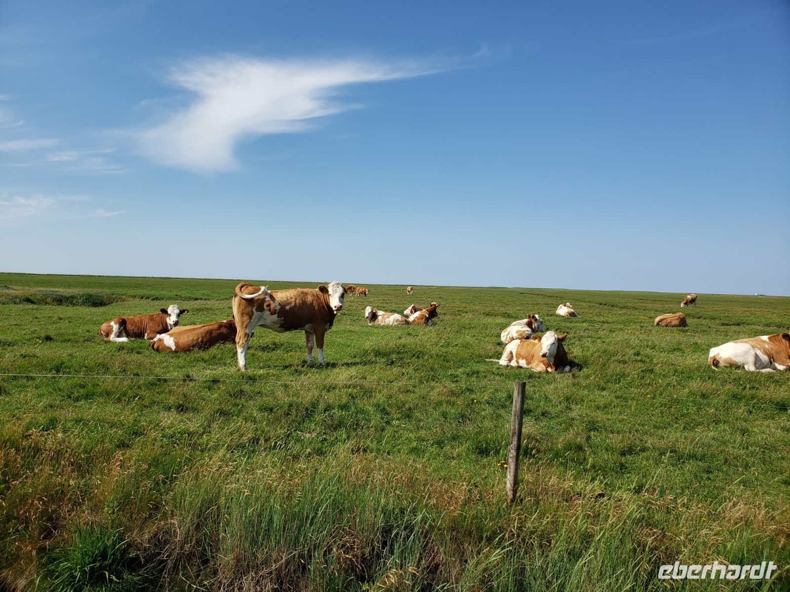 7 &ndash; &copy; Petra Hady (Eberhardt TRAVEL)