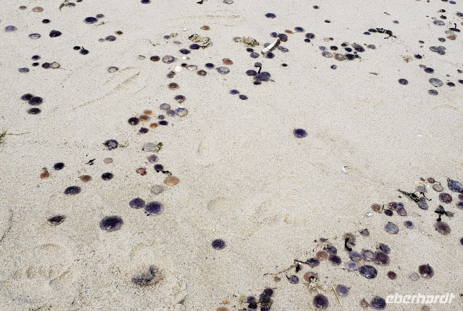 82 &ndash; &copy; Petra Hady (Eberhardt TRAVEL)