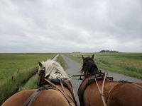 70 &ndash; &copy; Petra Hady (Eberhardt TRAVEL)