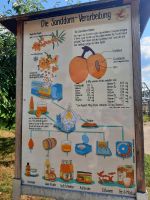 Wissenswertes über Sanddorn &ndash; &copy; Doreen Päßler (Eberhardt TRAVEL)