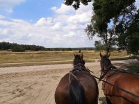 Weiter Blick &ndash; &copy; Jürgen Müller (Eberhardt TRAVEL)