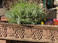 Oberwesel: Rundgang &ndash; &copy; Inge Bily (Eberhardt TRAVEL)