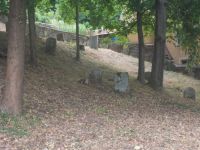 DSCN6488.JPG     jüdischer Friedhof Wertheim