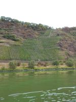 DSCN6808.JPG    Moselwein &ndash; &copy; Kerstin Veit (Eberhardt TRAVEL)