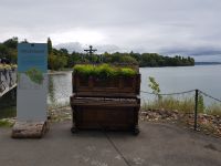 Blumeninsel Mainau (4) &ndash; &copy; Steffi Lambrecht (Eberhardt TRAVEL)