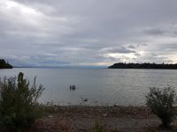 Blumeninsel Mainau (7) &ndash; &copy; Steffi Lambrecht (Eberhardt TRAVEL)