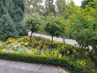 Blumeninsel Mainau (14) &ndash; &copy; Steffi Lambrecht (Eberhardt TRAVEL)