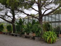 Blumeninsel Mainau (18) &ndash; &copy; Steffi Lambrecht (Eberhardt TRAVEL)