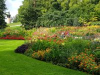Blumeninsel Mainau (75) &ndash; &copy; Steffi Lambrecht (Eberhardt TRAVEL)