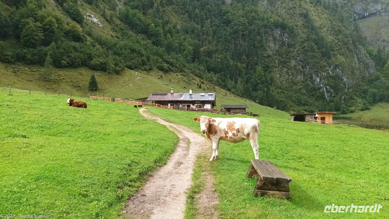 Berchtesgadener Land - Königssee - Salet &ndash; &copy; Martin Büchner (Eberhardt TRAVEL)
