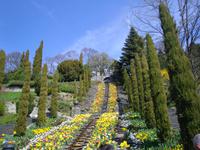 Insel Mainau