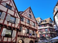 0501 Colmar