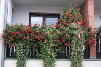 Binz Ortsbild &ndash; &copy; Sabine Herda (Eberhardt TRAVEL)