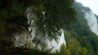 Kreidefelsen &ndash; &copy; Sabine Herda (Eberhardt TRAVEL)