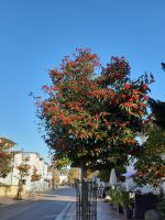 Göhren Strandstraße &ndash; &copy; Sabine Herda (Eberhardt TRAVEL)