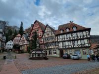 Miltenberg am Main  &ndash; &copy; Katrin Deutschbein (Eberhardt TRAVEL)