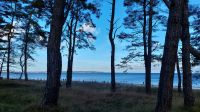 Küstenwald mit Blick zu Ostsee.jpg &ndash; &copy; Uta Hertel (Eberhardt TRAVEL)