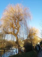 an der Spree &ndash; &copy; Andrej Kulikov (Eberhardt TRAVEL)