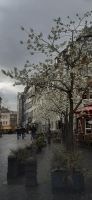 Koblenz  &ndash; &copy; Kerstin Hugel (Eberhardt TRAVEL)