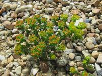 Findlingspark Nochten