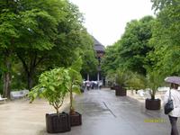 Kurgarten