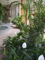 Orangerie &ndash; &copy; Elke Reuter (Eberhardt TRAVEL)