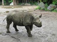 Zoo Leipzig
