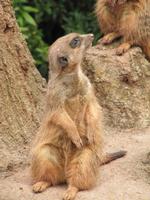 Zoo Leipzig