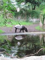 Zoo Leipzig