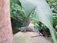 Zoo Leipzig