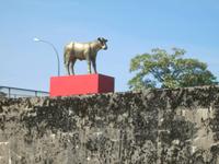 das goldene Kalb